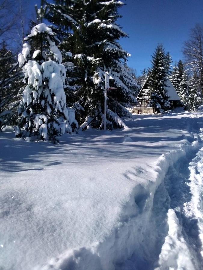 Tilia Banjska Stena Mitrovac